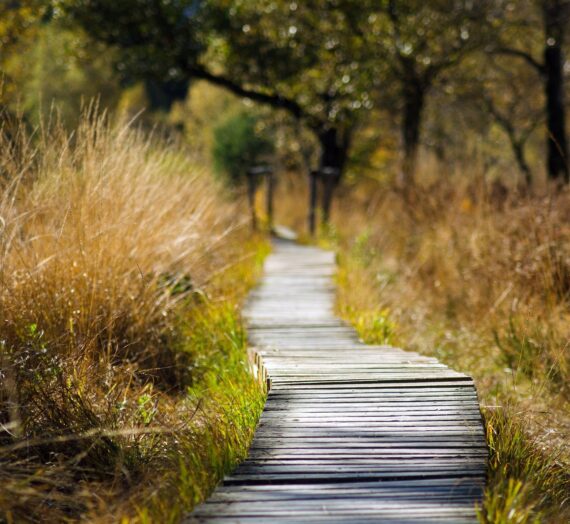 Trastornos depresivos